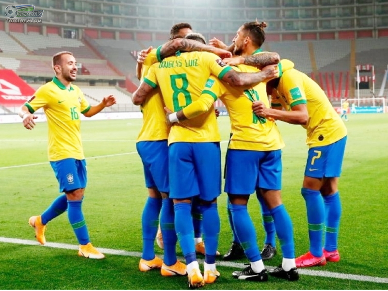 Tổng quan về giải bóng đá Brazil: Nền bóng đá phát triển nhất thế giới